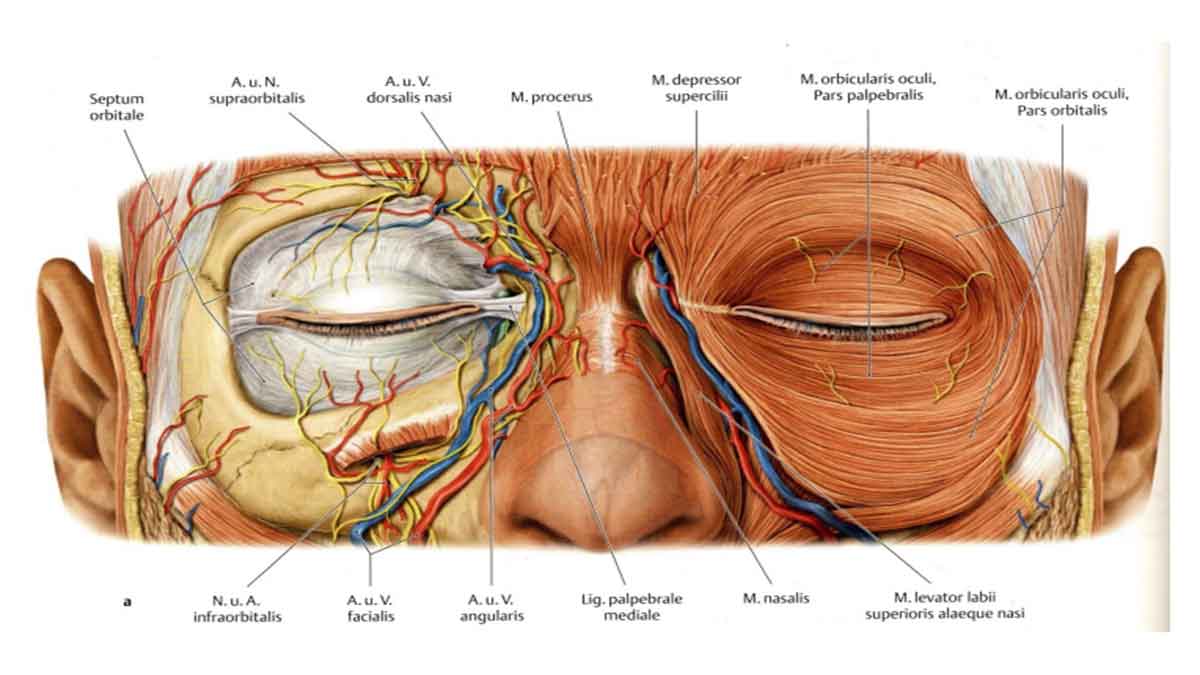 کاربرد نوار عصب چشم