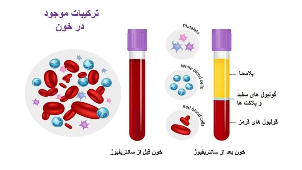 خون حاوی تعداد زیادی پلاکت است که فاکتورهای رشد و پروتئین‌های ترمیمی را آزاد می‌کنند. این فاکتورهای رشد، مانند سیتوکین‌ها و فاکتور رشد پلاکتی، به تحریک و تشدید پدیده ترمیم در بافت‌های آسیب‌دیده کمک می‌کنند. 
