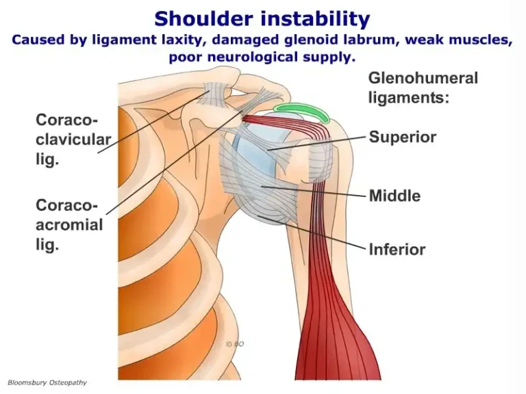 اختلال در تارها و رباط های کتف سبب عدم ثبات مفصل شانه می شوند. ضعف در عضلات روتاتور کاف می تواند منجر به اختلال در ثبات شانه شود.