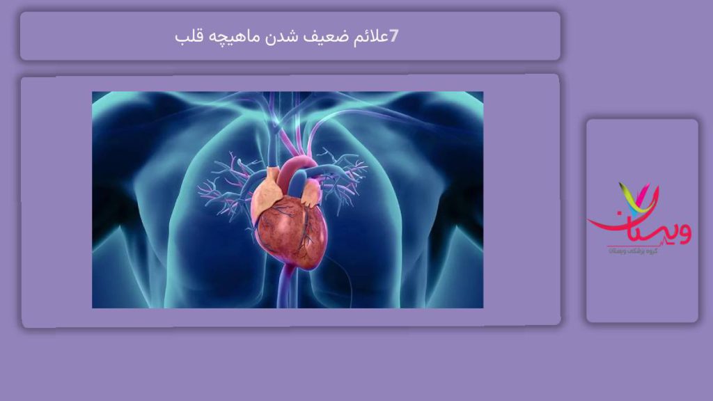 نشانههای ضعیف شدن ماهیچه 7 علائم ضعیف شدن ماهیچه قلب